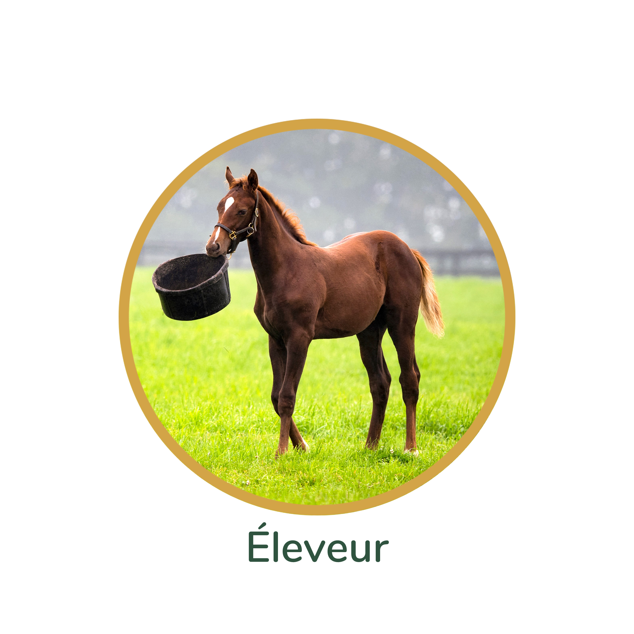 Eleveur