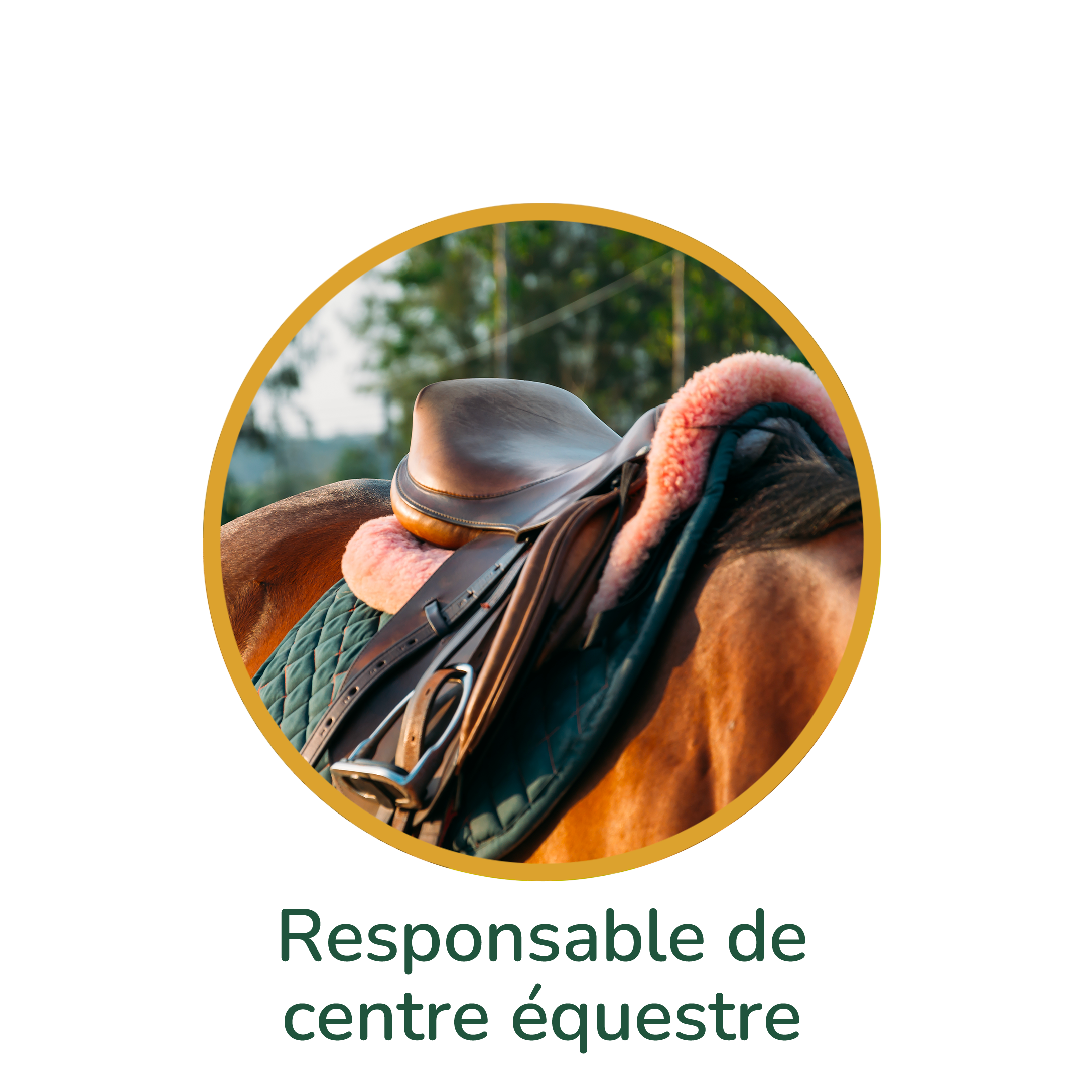 bulle-centre-equestre