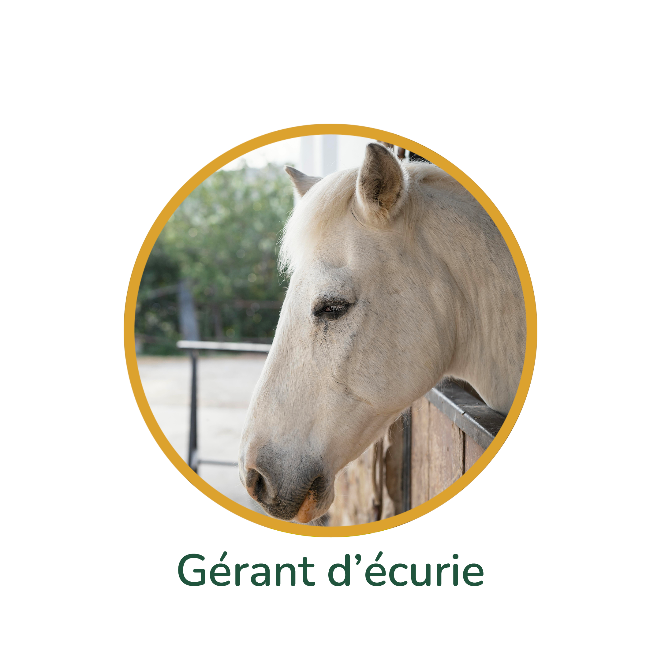 bulle-gerant-ecurie