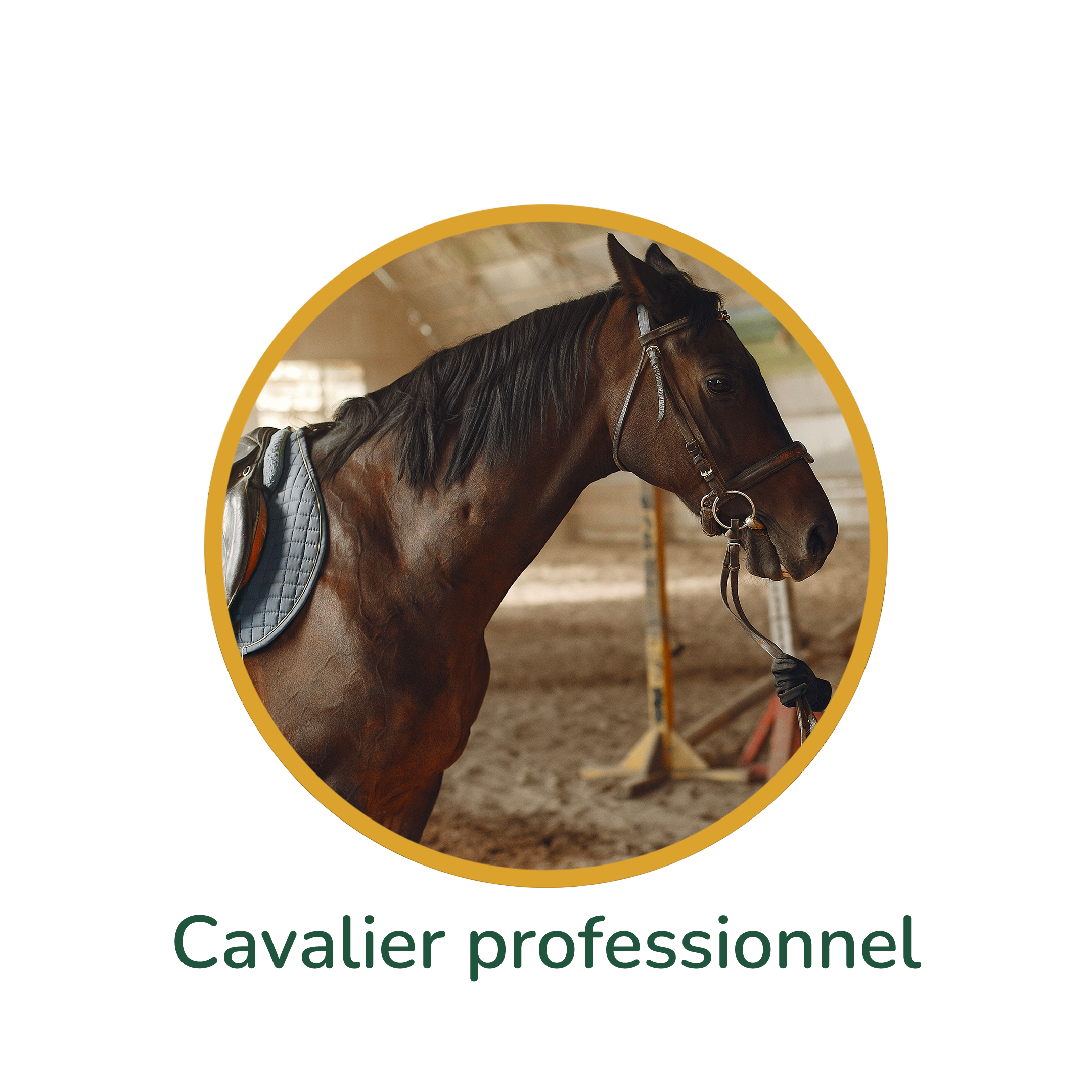bulles-cavalier